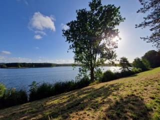 'tNest Middelaar - 1