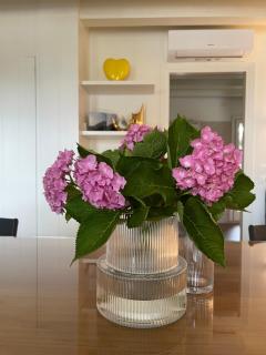 Residence19ilborgo - 9