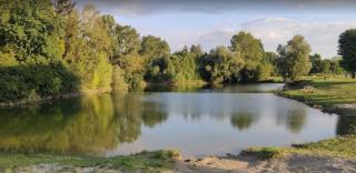 Mobil-home N 3 chambre, climatise, cuisine equipee, TV & Wi-Fi - Boofzheim - 9