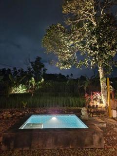 Umaloka Eco Villa - Tirtagangga - 3