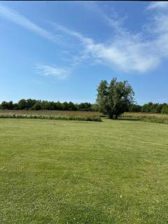 Fishermans House Apartment 2 - Hirtshals - 8