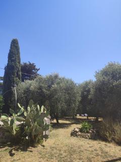 Podere Fichidimare - 8