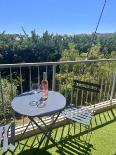 3 pièces climatisé Antibes proche plage et piscine - 9