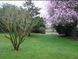 Maison de campagne rustique et confortable - Mazières-en-Gâtine - 9