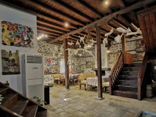 Smolyan Art house - Smoljan - 8