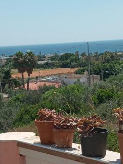 B&B Vesuvio Domus - Capilungo - 2
