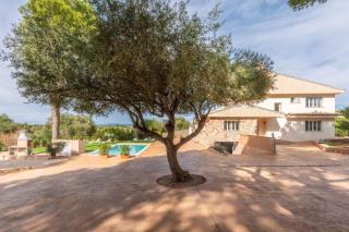 Villa Can Luciana - La Aranjasa - 0