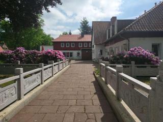 Hotel Südheide - Niederdorla - 1