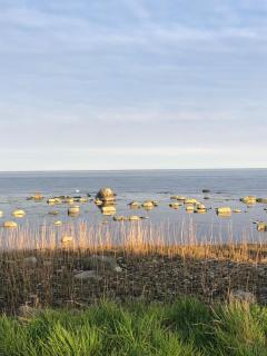 Stylish seaside barn - Borrby - 5