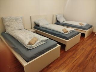 Simple & Cozy Living in Chemnitz for 5 guests - Chemnitz - 5