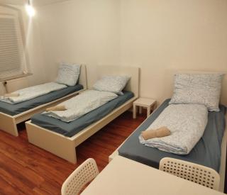 Simple & Cozy Living in Chemnitz for 5 guests - Chemnitz - 4