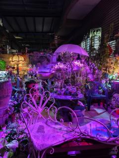 Pulisen Homestay - Puli - 8