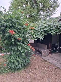 LAND FOR YOUR TENT NEXT TO A RIVER WITH A GARDEN SHACK ROOM you get two bicycles for amazing views and two water floats for a nice river run USE THE LOCATION NOT THE ADDRESS TO GET HERE bathroom is a bit different so check YouTube video RiverRunDusko - 8