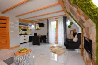 Lux Houses w DOMKU tylko DWA APARTAMENTYz jacuzzi zewnętrznym - Groń - 4