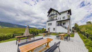VILA LUCA-Hotel - Şirnea - 0