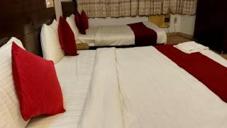Hotel krone Near IGI Airport Delhi - 1