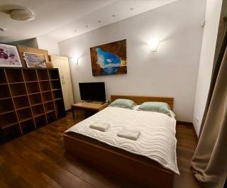 CENTRO House - Alytus - 0