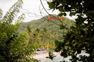 Turtle Rock 7 chambres - Les Anses-dʼArlets - 3