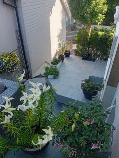 Villa Baneheia-Studios & Apartment - Kristiansand - 9