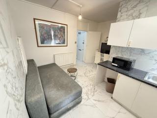 Nice 1 bedroom flat ground floor Miles Building - Londra - 3