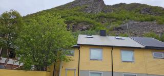 Norwegian Hous 2 - - 1