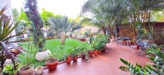 Casa Bianca, OSU, Premium Luxury, Free breakfast, Pool & gym, Restaurant, Airport 15 mins - 1
