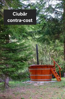 Silent Serenity Mountain Cabin - Bălan - 9