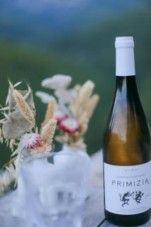 LA PAUSE - 3 villas avec Jacuzzi privatif à chisà - 7