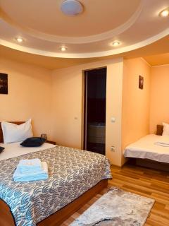 Vila Gabi - Buşteni - 2