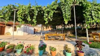 Guest House Vatra - 0