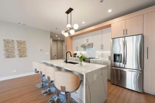 Chicago Modern Condo 2BR2BA Balcony Free Park - 9