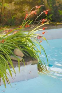 Domaine de la Tranquillité B - 9