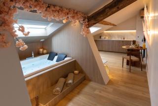 CEVA Suite Sakura - Jacuzzi & Cinéma Centre ville - 6
