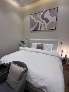 Studio 105, El-Monshia District - Riad - 0