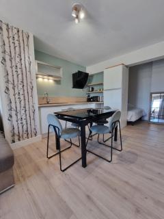 T1 bis nature et confort Vue montagne, proche Grenoble - 6