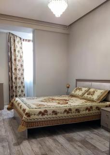 Элитная квартира Золотой квадрат - Bishkek - 8