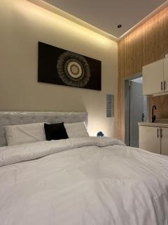 Studio 104, El-Monshia District - Riad - 8