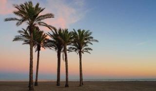 Ático frente al mar, un dormitorio "Cielo Azul" - Roquetas de Mar - 7