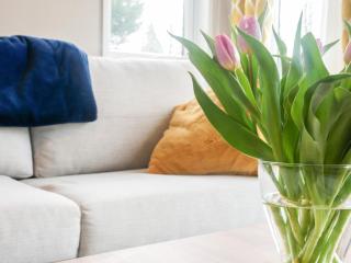 Marlow Lodge - Hyssington - 9
