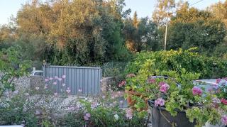 Venetton Garden House Corfu - Gouvia - 8