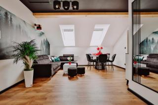Zdrojowy Gościniec - Apartament - Rabka-Zdrój - 2