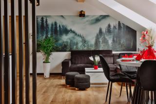 Zdrojowy Gościniec - Apartament - Rabka-Zdrój - 8
