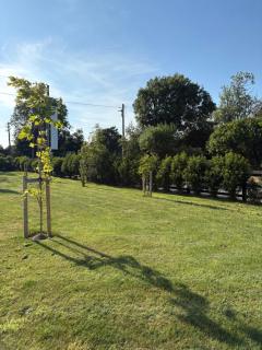 Ashlee Lodge, Shanagarry P25K6R6 Near Ballymaloe House & Garryvoe Hotel - Shanagarry - 4