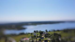 Havsörn - 8