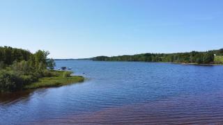 Havsörn - 7