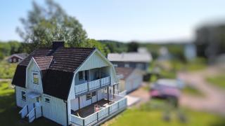 Havsörn - Kalv - 6