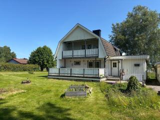Havsörn - 4