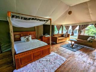 Double G safaris and Camp Mikumi - Mikumi National Park - 5
