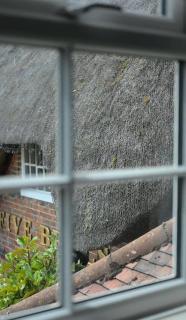 Five Bells Wickham - Newbury - 2