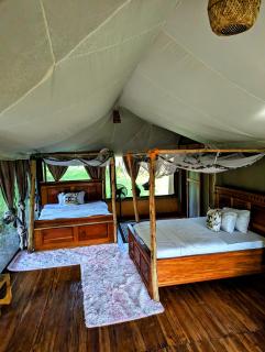 Double G safaris and Camp Mikumi - 8